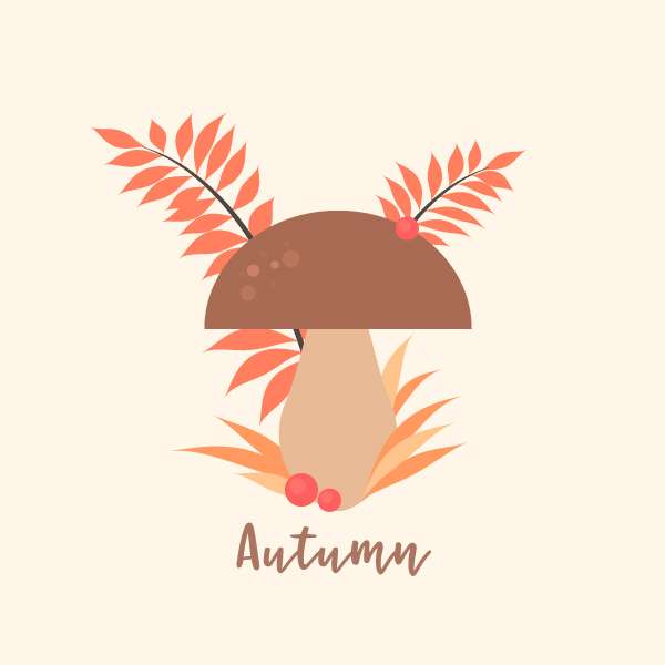 Flat Design Jamur Musim Gugur di Adobe Illustrator Membuat Jamur Flat Design Vector di Adobe Illustrator