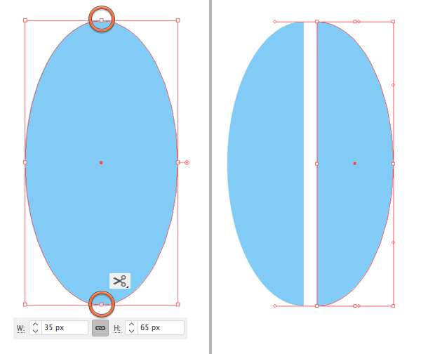 Tutorial 3-cute-whale