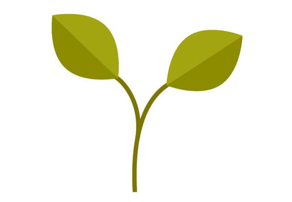 Garden-Property-Flat-Design 8_5